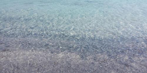 IMG-20160910-WA0022