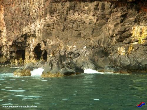 Cabu-nieddu-Gabbiani-e-cormorani-sugli-scogli
