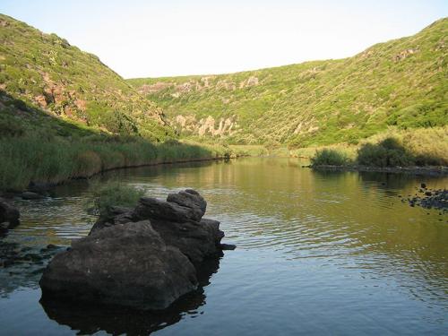 Foghe-il-fiume