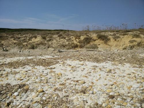 Isola (2)