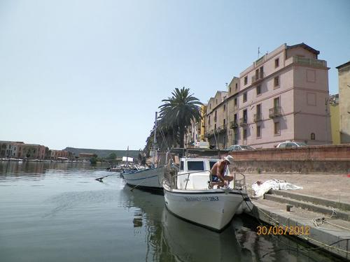 bosa-lungo-temo