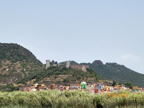 bosa