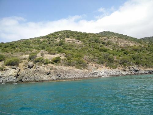 bosa (2)